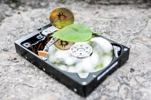 Hard disk drive with a bitcoin and a chia leaf on a concrete surface Stock Photos
