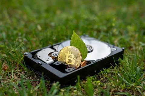 Hard disk drive with a bitcoin and a chia leaf on the grass Foto stock