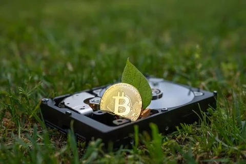 Hard disk drive with a bitcoin and a chia leaf on the grass Stock Photos