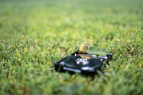 Hard disk drive with a bitcoin and a chia leaf on the grass Stock Photos