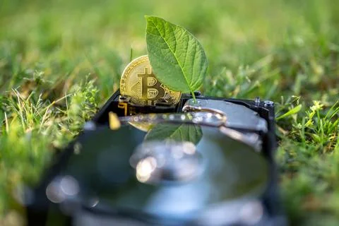 Hard disk drive with a bitcoin and a chia leaf on the grass Stock Photos