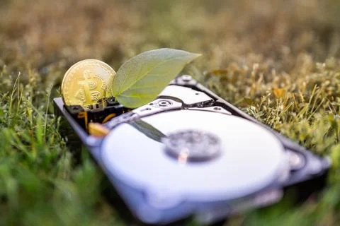 Hard disk drive with a bitcoin and a chia leaf on the grass Stock Photos