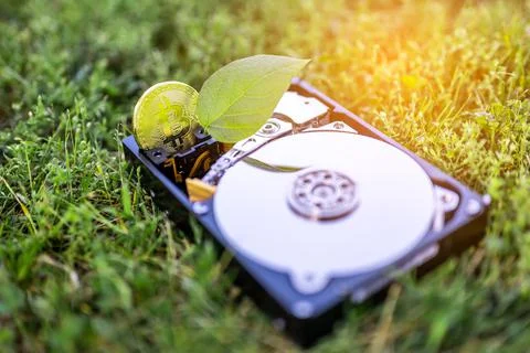 Hard disk drive with a bitcoin and a chia leaf on the grass Stock Photos
