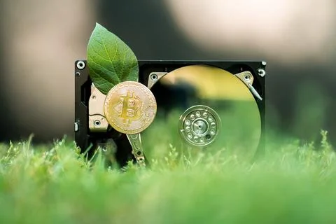 Hard disk drive with a bitcoin and a chia leaf on the grass Stock Photos