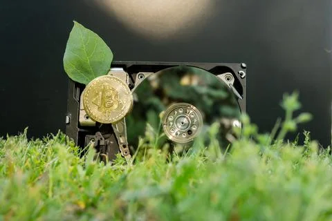 Hard disk drive with a bitcoin and a chia leaf on the grass Stock Photos
