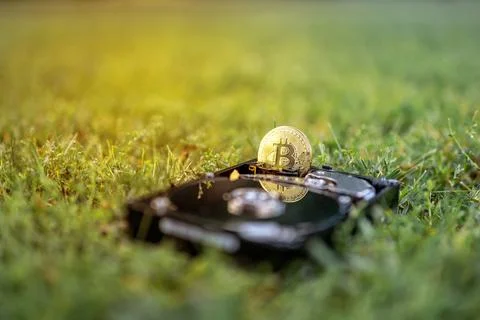 Hard disk drive with a bitcoin on the grass Stock Photos