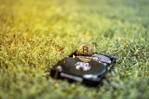 Hard disk drive with a bitcoin on the grass Stock Photos