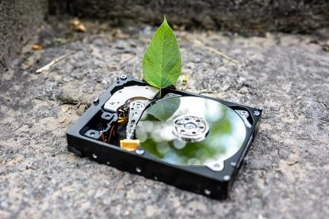 Hard disk drive with a chia leaf on a concrete surface Stock Photos