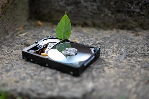 Hard disk drive with a chia leaf on a concrete surface Stock Photos