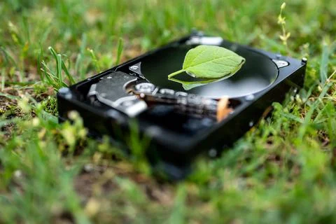 Hard disk drive with a chia leaf on the grass Stock Photos