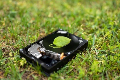 Hard disk drive with a chia leaf on the grass Stock Photos
