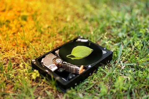Hard disk drive with a chia leaf on the grass Stock Photos