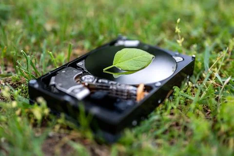 Hard disk drive with a chia leaf on the grass Stock Photos