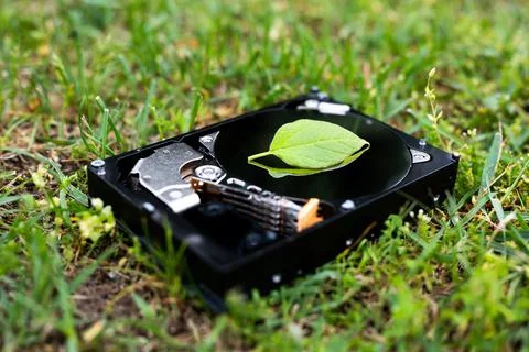 Hard disk drive with a chia leaf on the grass Stock Photos