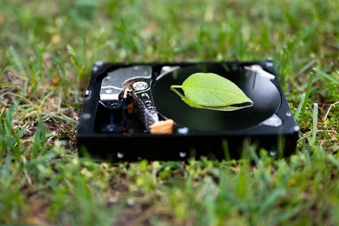 Hard disk drive with a chia leaf on the grass Stock Photos