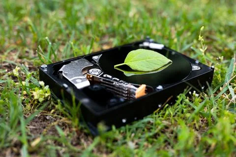 Hard disk drive with a chia leaf on the grass Stock Photos
