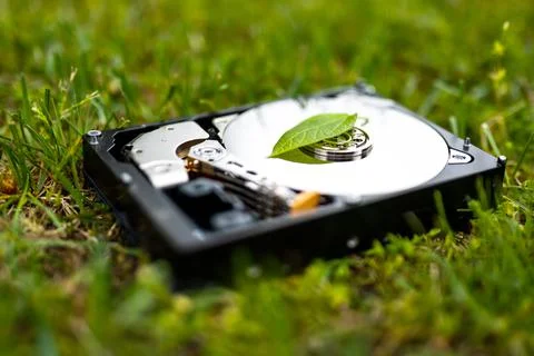Hard disk drive with a chia leaf on the grass Stock Photos