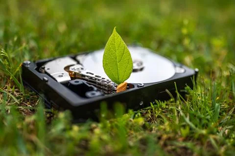 Hard disk drive with a chia leaf on the grass Stock Photos