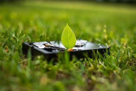 Hard disk drive with a chia leaf on the grass Stock Photos