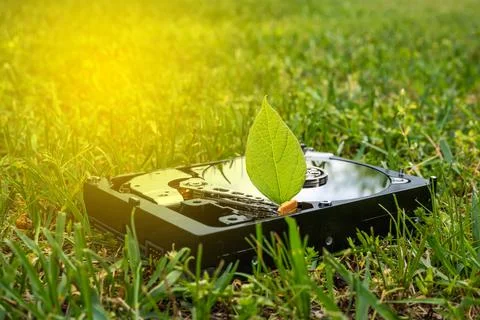 Hard disk drive with a chia leaf on the grass Stock Photos