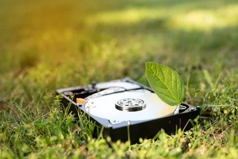 Hard disk drive with a chia leaf on the grass Stock Photos