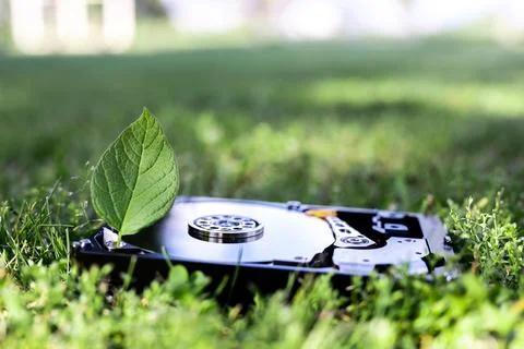 Hard disk drive with a chia leaf on the grass Stock Photos