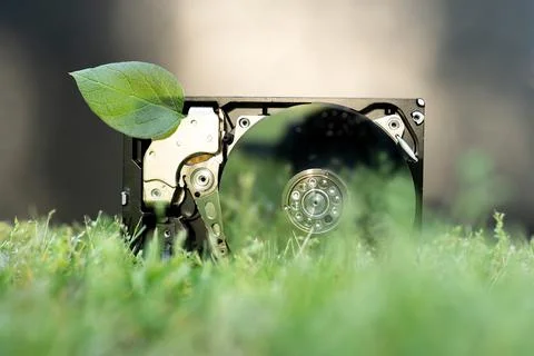 Hard disk drive with a chia leaf on the grass Stock Photos