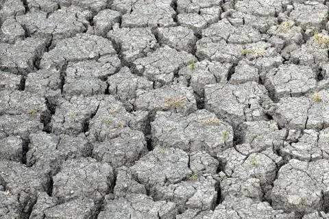 Hard Earth Stock Photos