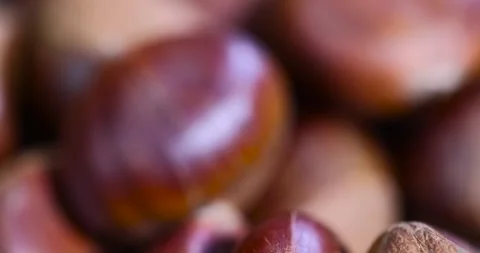 A hard edible chestnut fruit in a brown shell on a wooden table, a group of raw Stock Footage 320376439
