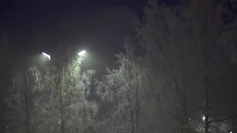 Hard frost 動画素材 170056503
