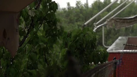 Hard Hard Raining Stock Footage 133240573