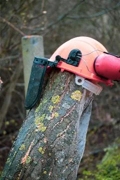 Hard hat with visor and hearing protection is stuck on a tree trunk Stock Photos