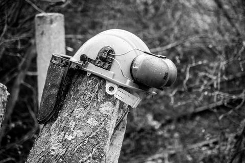 Hard hat with visor and hearing protection is stuck on a tree trunk Stock Photos