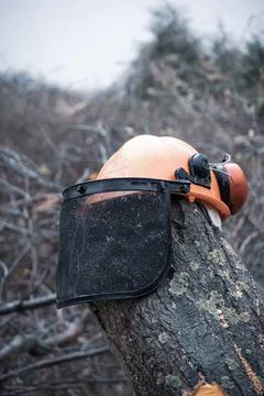 A hard hat with visor and hearing protection is stuck on a tree trunk Stock Photos
