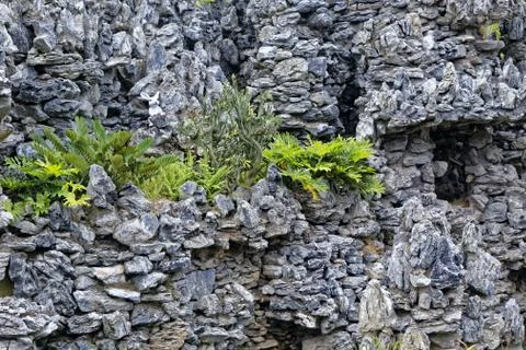 Hard landscaping Stock Photos