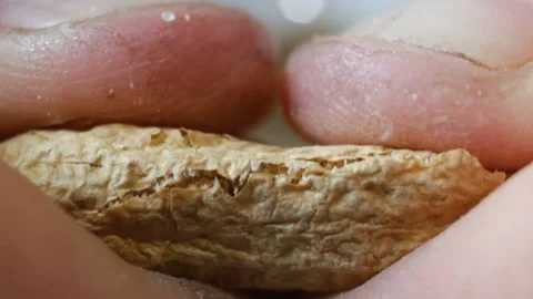 A hard nut to crack peanut extremely close-up. Sandpaper, dust, spores of fungi Stock Footage 111737591