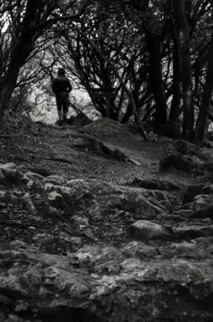 Hard path to the hole in the trees Stock Photos