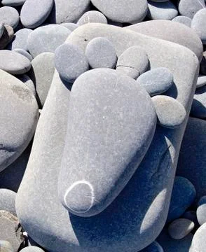 The hard pebbles closeup on the beach Stock Photos