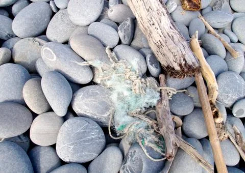 The hard pebbles closeup on the beach Stock Photos
