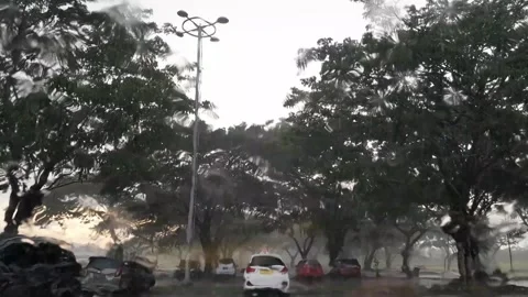 Hard rain in the afternoon Stock Footage 242178560
