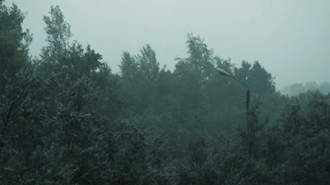 Hard rain covering trees in the yard Stock Footage 111273028