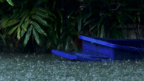 Hard Rain Falling on Pond with blue plastic boat and trees. monsoon weather. Stock Footage 214860290