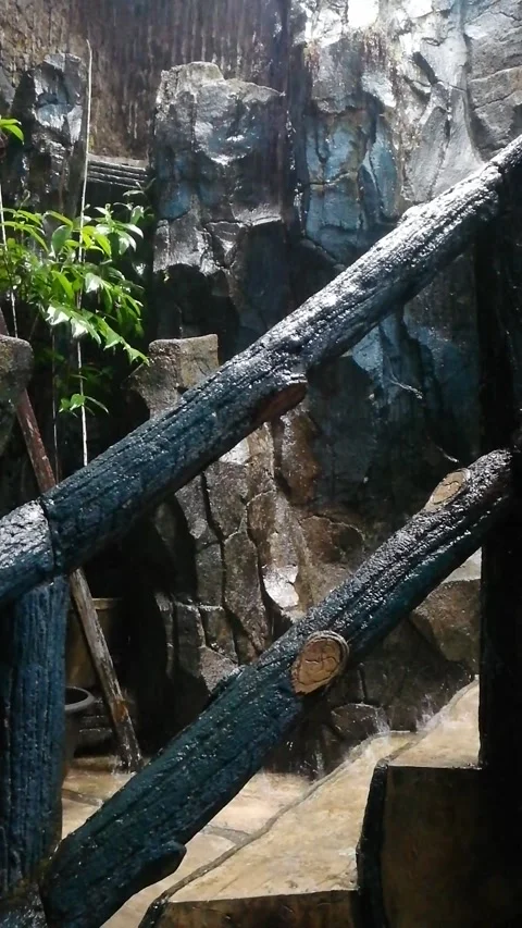 Hard rain Stock Footage 219485728