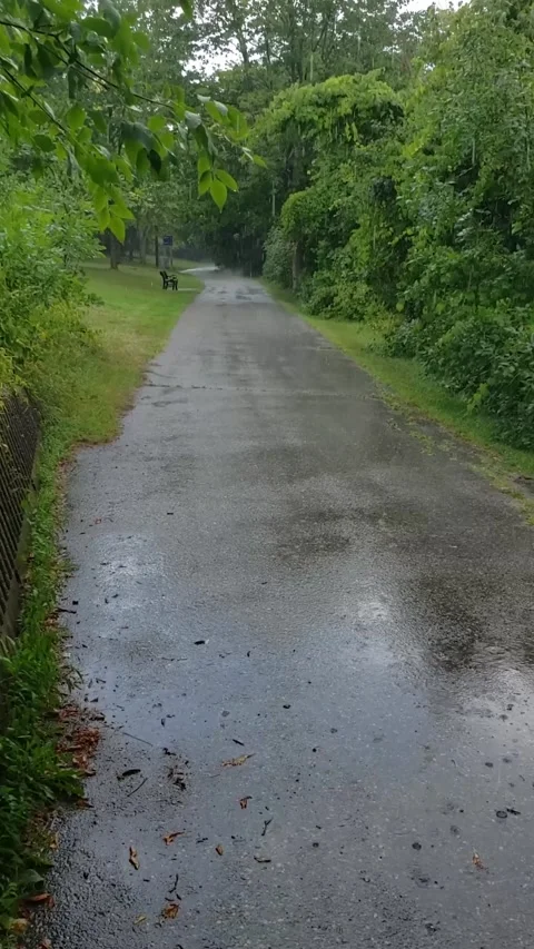 Hard rain Stock Footage 223264970