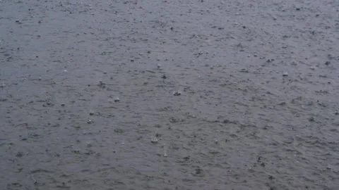 Hard rain on water surface Stock Footage 246791757