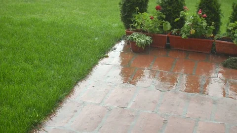 Hard raining in a garden Stock Footage 76054846