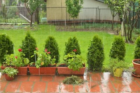 Hard raining in a garden Stock Photos