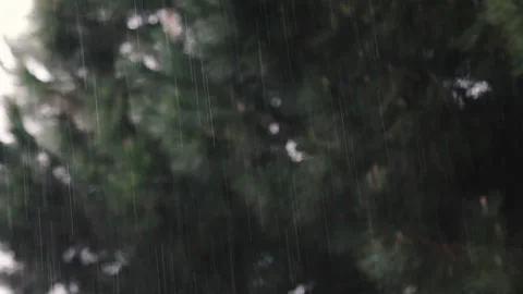 Hard raining. Raindrops close up. Blurred nature on the background. Rainy day. 库存影片 141917808