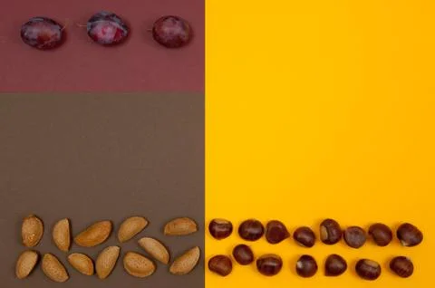 Hard shell nuts and plums on split background Foto stock