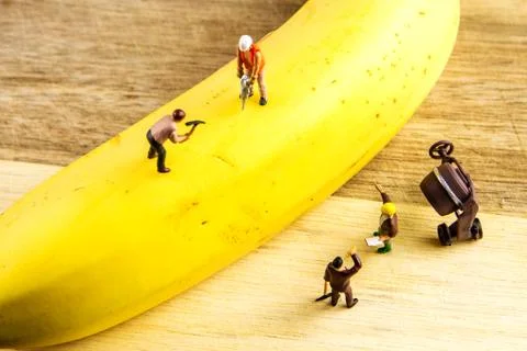 Hard team working to make the best banana possible Stock Photos